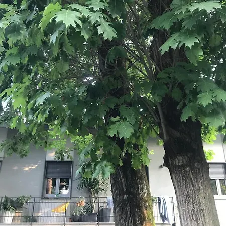 Appartement Per Single In